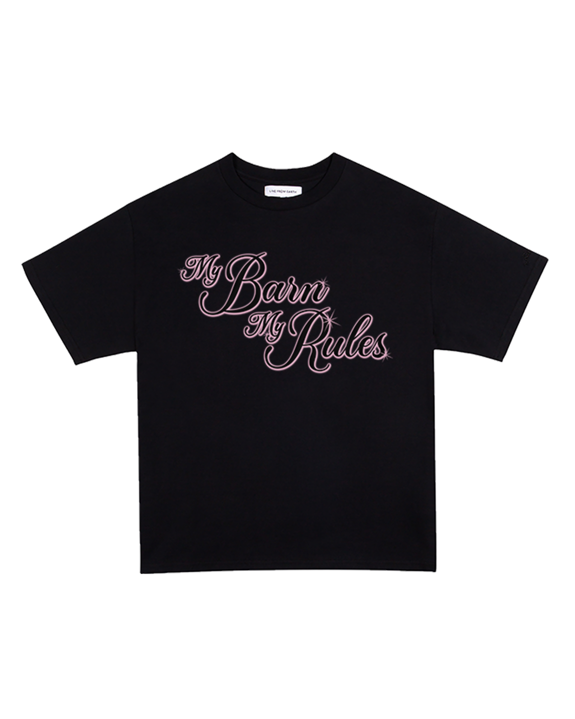 Horsegirl tシャツ XL 01mybarnB.png?v=1740757678&